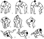 t24.gif (26404 bytes)