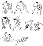 t4.gif (29504 bytes)