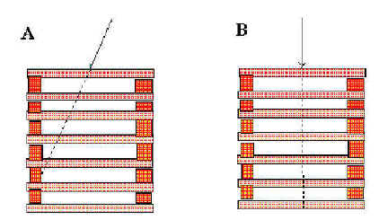 wpe6.jpg (40581 bytes)